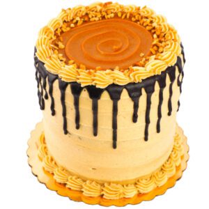 Chocolate Devils Food cake filled with a layer of chocolate frosting and a layer of peanut butter frosting that is mixed with peanuts.